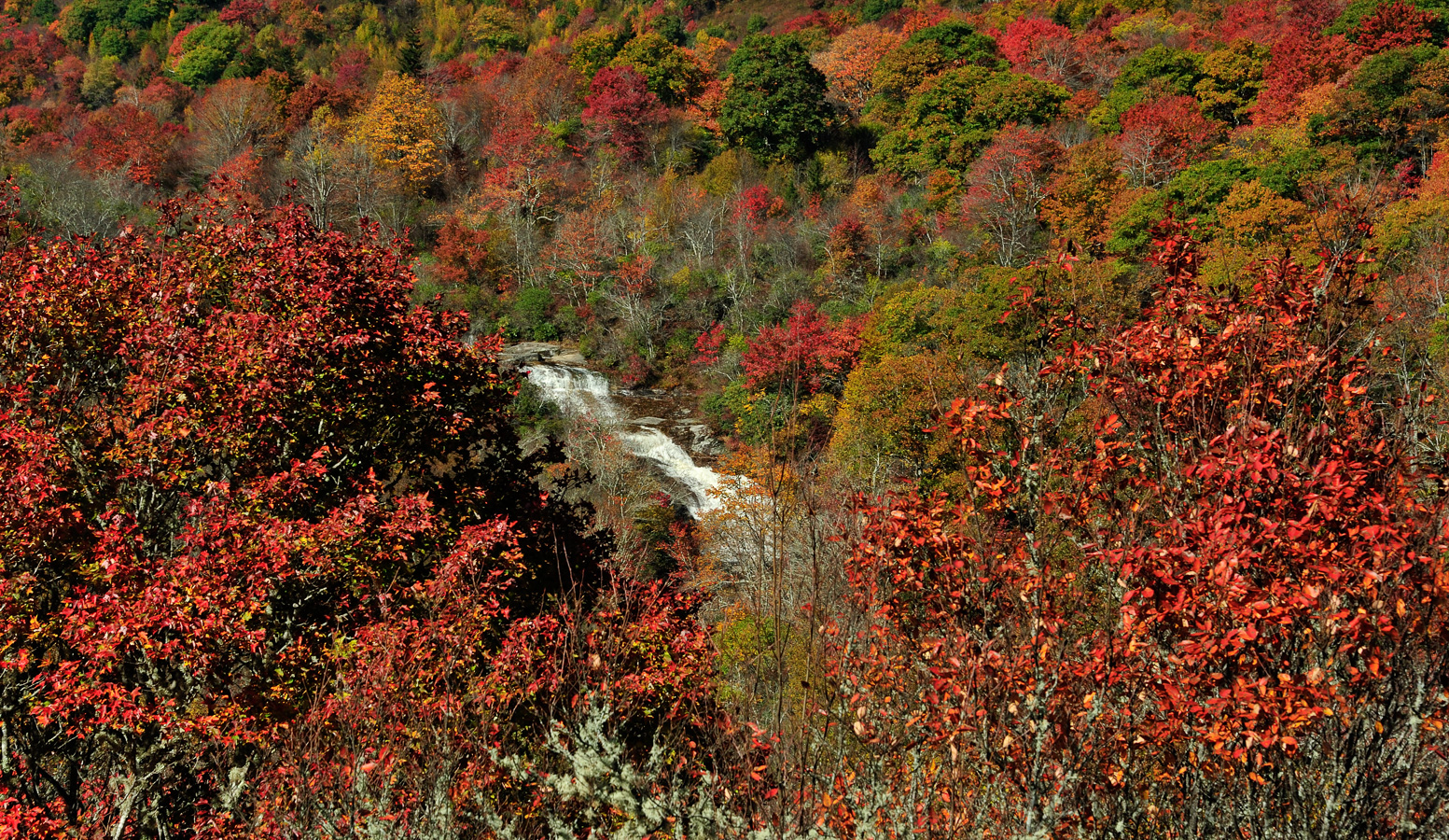 Blue Ridge Parkway [105 mm, 1/160 Sek. bei f / 10, ISO 400]